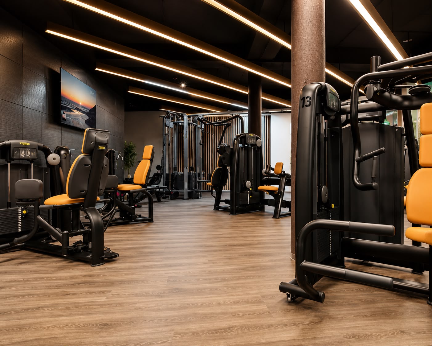 Rücken- und Gelenktraining an Geräten bei B-Fit Besigheim