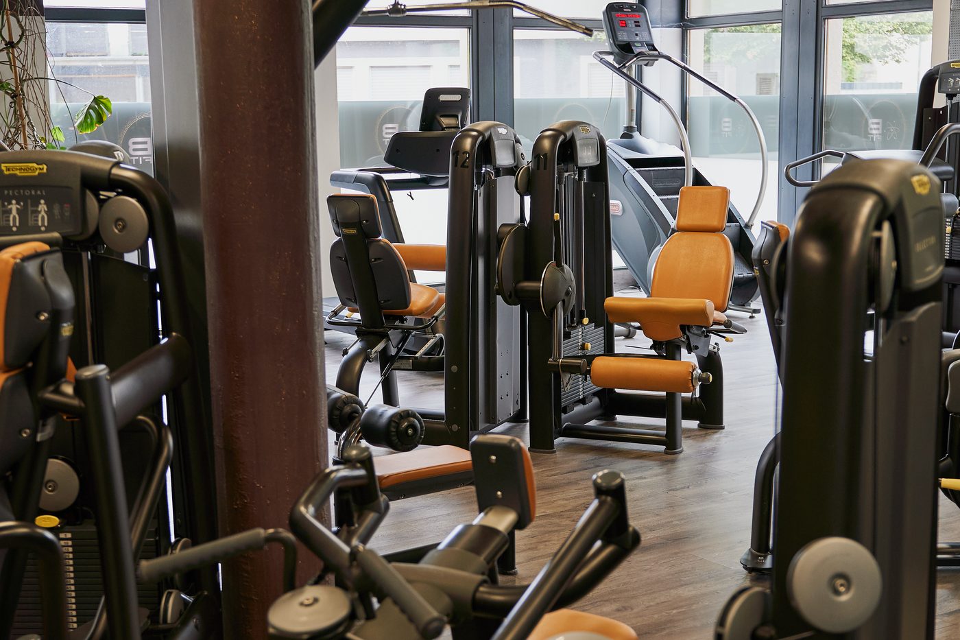 Rücken- und Gelenktraining an Geräten bei B-Fit Besigheim