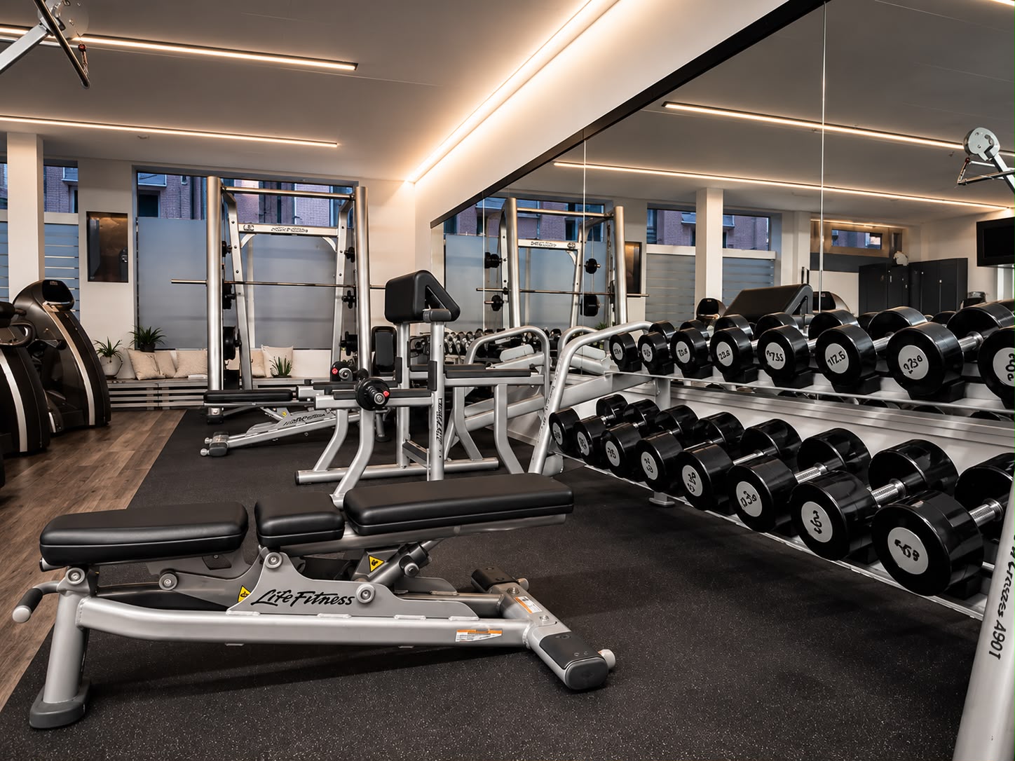 Krafttraining im Freihantelbereich bei B-Fit Besigheim